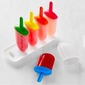 Williams Sonoma Rainbow Pop Molds